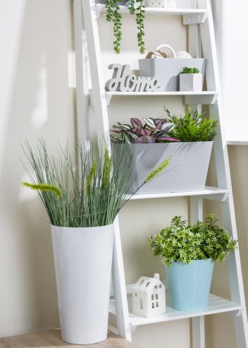 Studio Planter Cover_lifestyle_011