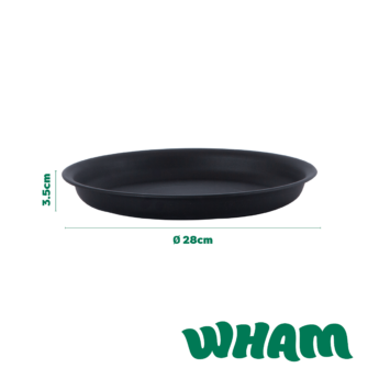 446702-DIMS_LG