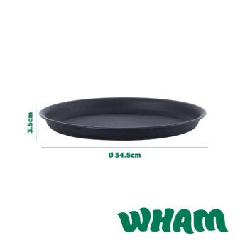 446712-DIMS_LG