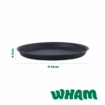 446722-DIMS_LG 446722-DIMS_LG